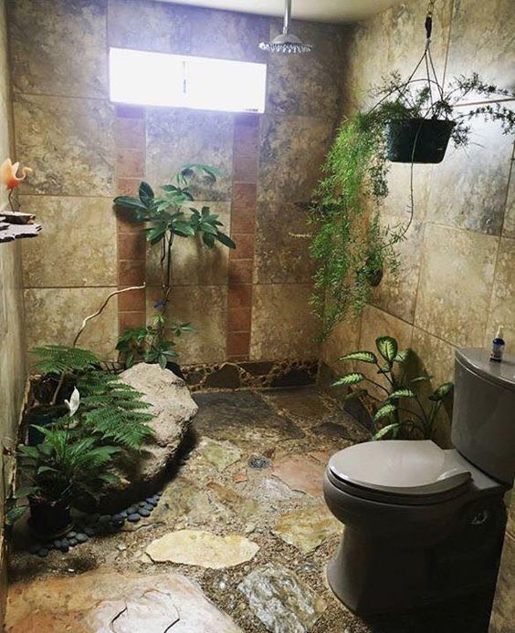 ห้องน้ำกลางป่า